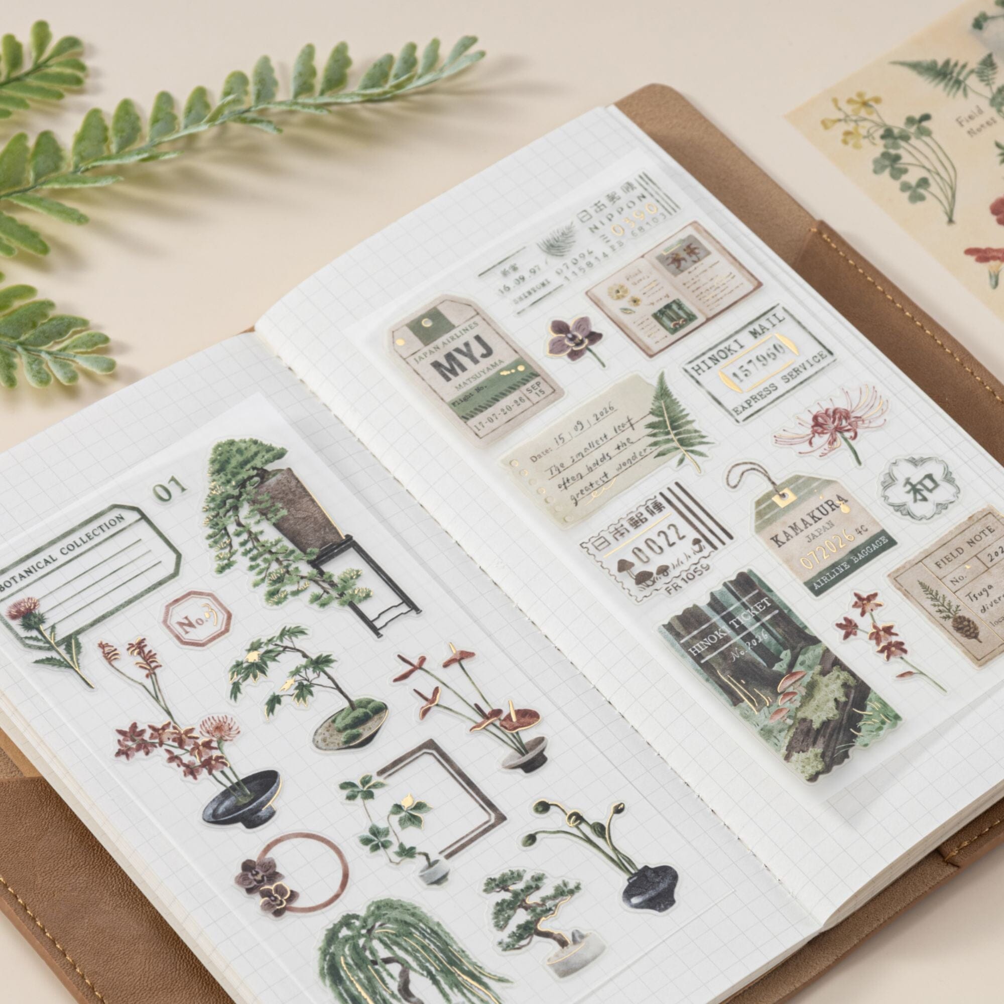 Hinoki - ‘The Wandering Botanist’ Sticker Sheets