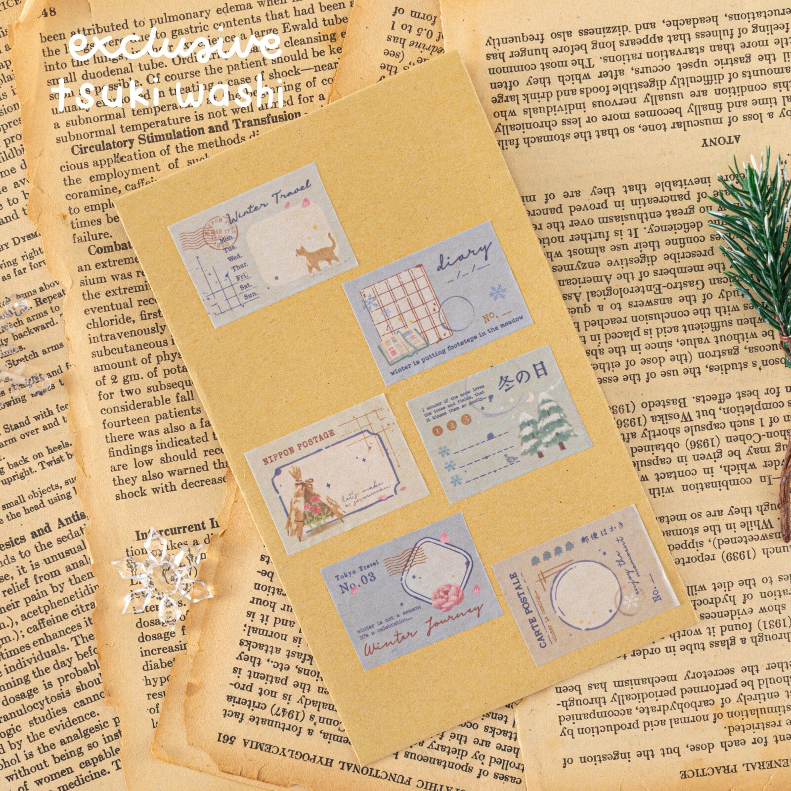 Tsuki ‘Winter Journey’ Bundle ☾