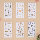 Tsuki ‘Dried Flowers’ Transparent Sticker Set ☾