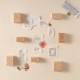Hinoki - ‘Into the Song’ Bundle #2 (exclusive)