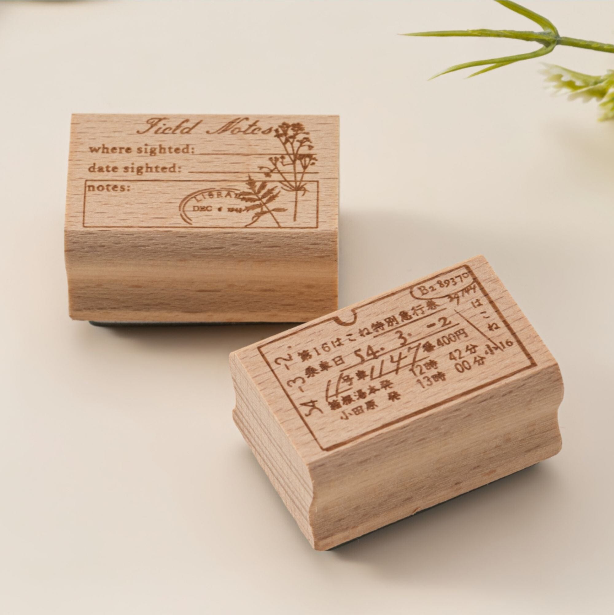 Hinoki - ‘The Wandering Botanist’ Engraved Wooden Stamp Set