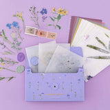 3x glassine bags with flower stickers in a purple box with flower decorations