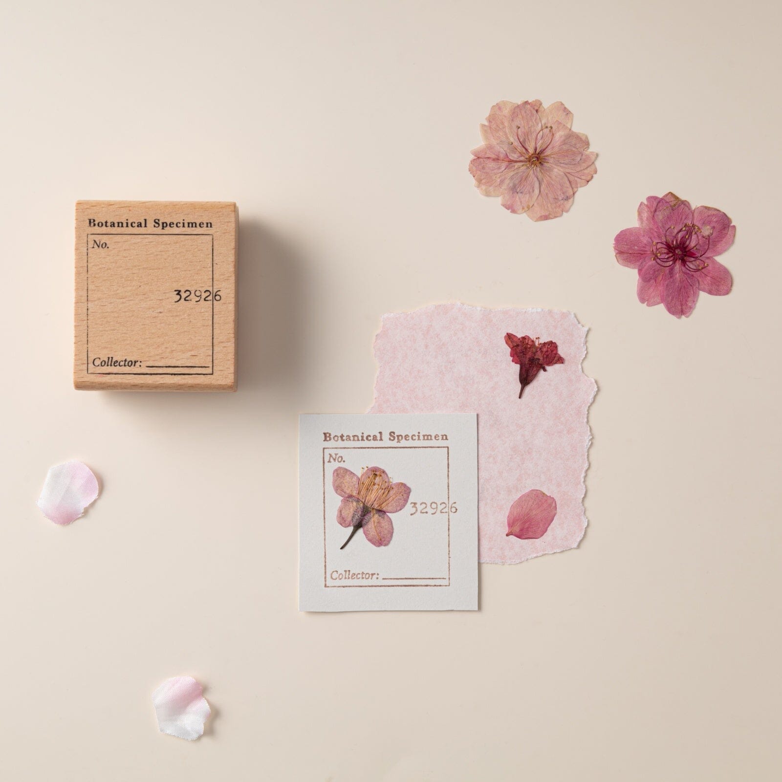 Botanical Specimen wooden stamp with dried flowers