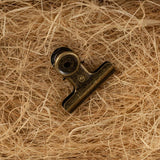Close up of metal clip with gold details